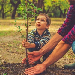 Como construir uma horta? Tenha mais contato com a natureza dentro de sua propriedade! 